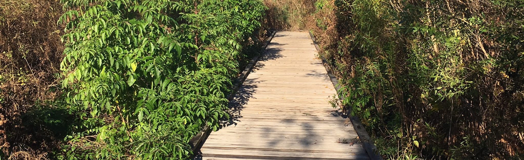 Wisner Loop, Louisiana 13 Reviews, Map AllTrails