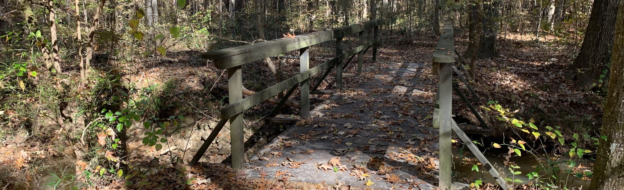 Myrick Creek Trail, Mississippi 7 Reviews, Map AllTrails