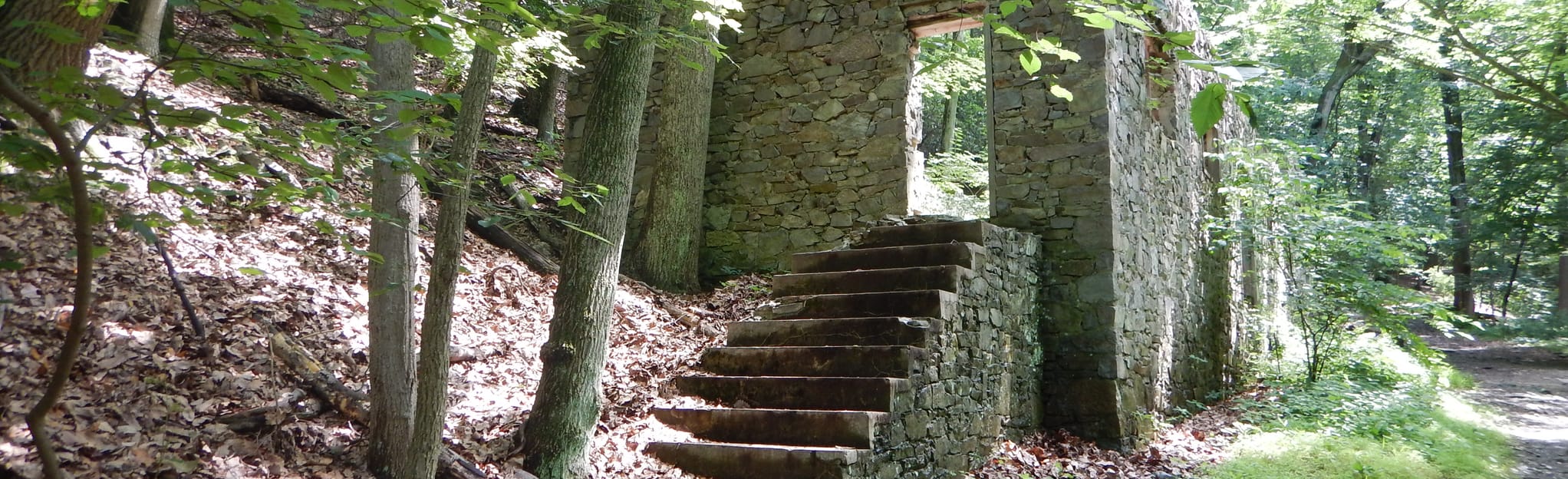 Mount Misery, Chapel Path and Mount Joy Trail 1669 Reviews, Map