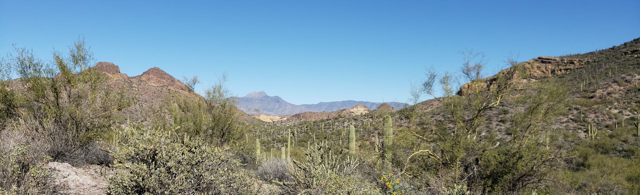 Hackberry Springs Loop, Arizona - 1,429 Reviews, Map | AllTrails