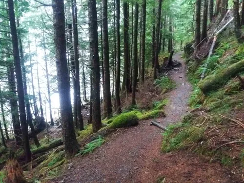 10 Best Trails and Hikes in Ketchikan | AllTrails