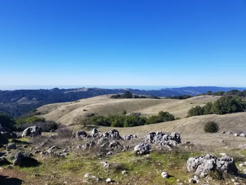 10 Best Hikes and Trails in Monte Bello Open Space Preserve