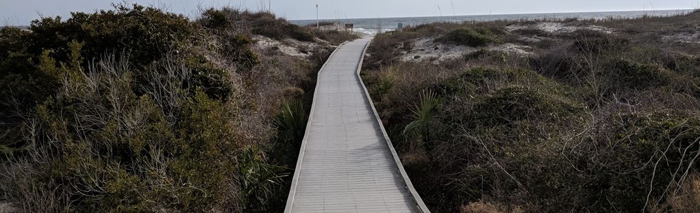 are dogs allowed at little talbot island