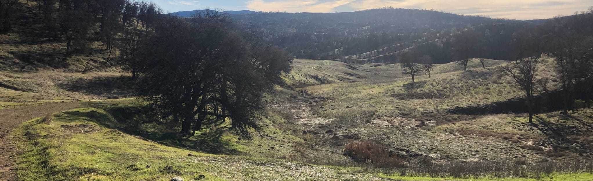 Lynch Canyon Trail, California - 33 Reviews, Map | AllTrails