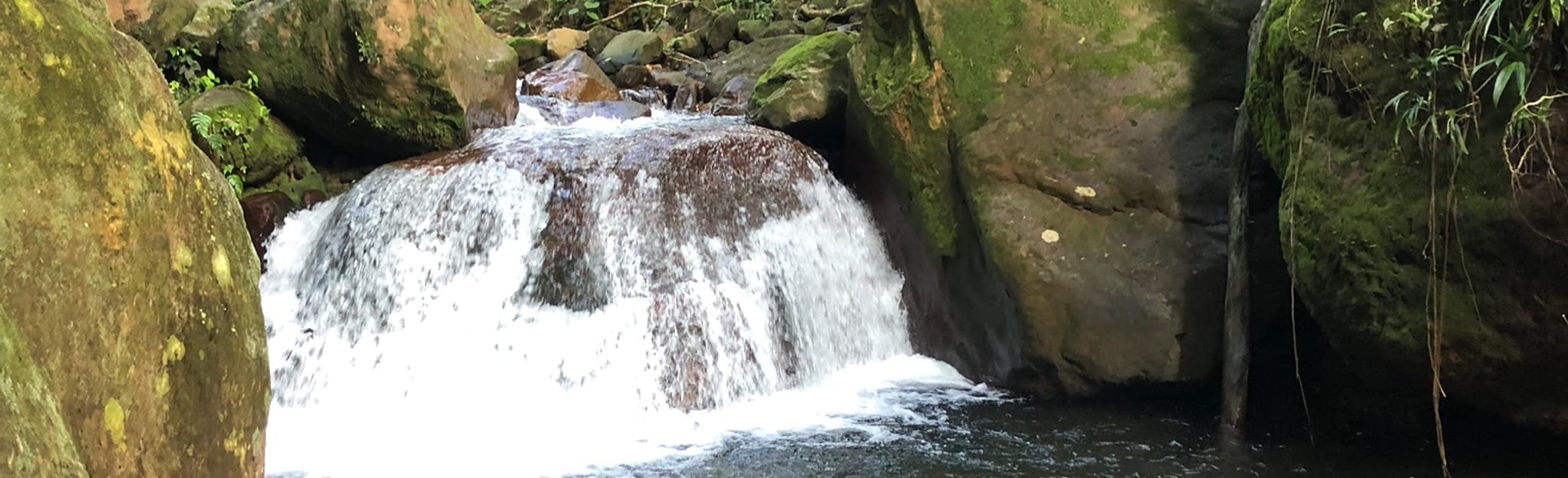 Rivière Rouge via Trace de la Grande Découverte 9 Reviews, Map Basse