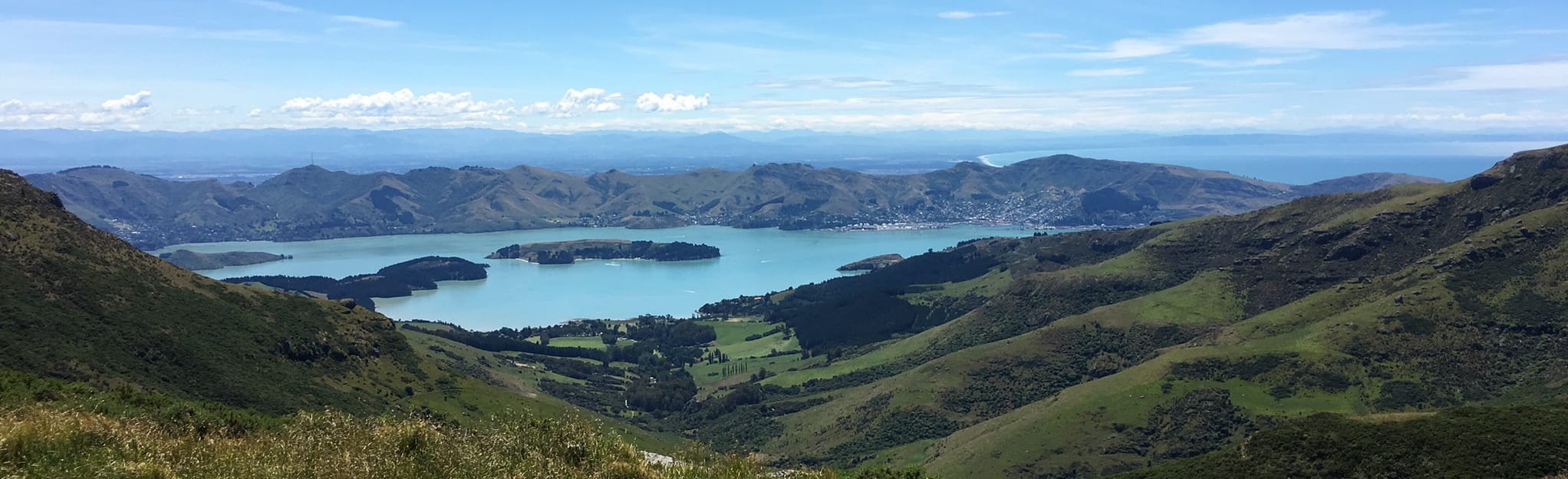 Mount Herbert, Sign of the Packhorse Hut, Canterbury, New Zealand 9