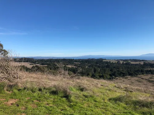 10 Best Hikes and Trails in Wilder - EyJidWNrZXQiOiJhc3NldHMuYWxsdHJhaWxzLmNvbSIsImtleSI6InVwbG9hZHMvcGhvdG8vaW1hZ2UvMjE4NjgzNTUvZjUzNjZlZGYxZWU0ODg0MWY5ZmM1NTg2NDVmZGEzNGIuanBnIiwiZWRpdHMiOnsidG9Gb3JtYXQiOiJ3ZWJwIiwicmVzaXplIjp7IndpZHRoIjo1MDAsImhlaWdodCI6NTAwLCJmaXQiOiJpbnNpZGUifSwicm90YXRlIjpudWxsLCJqcGVnIjp7InRyZWxsaXNRdWFudGlzYXRpb24iOnRydWUsIm92ZXJzaG9vdERlcmluZ2luZyI6dHJ1ZSwib3B0aW1pc2VTY2FucyI6dHJ1ZSwicXVhbnRpc2F0aW9uVGFibGUiOjN9fX0=