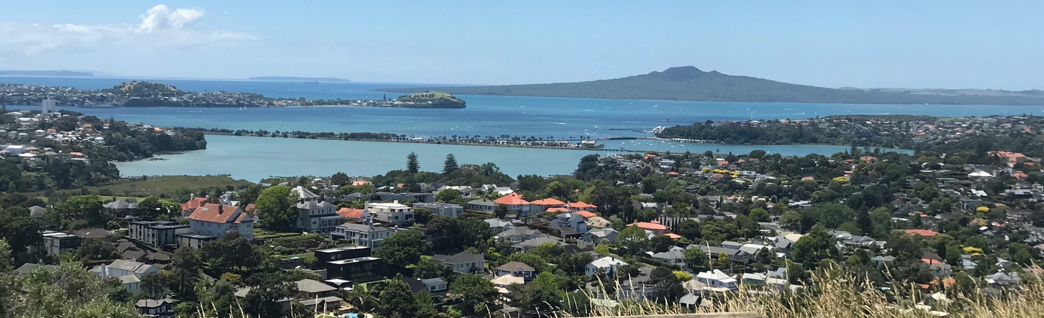 Mount Hobson Short Walk 63 foto's Auckland, NieuwZeeland AllTrails