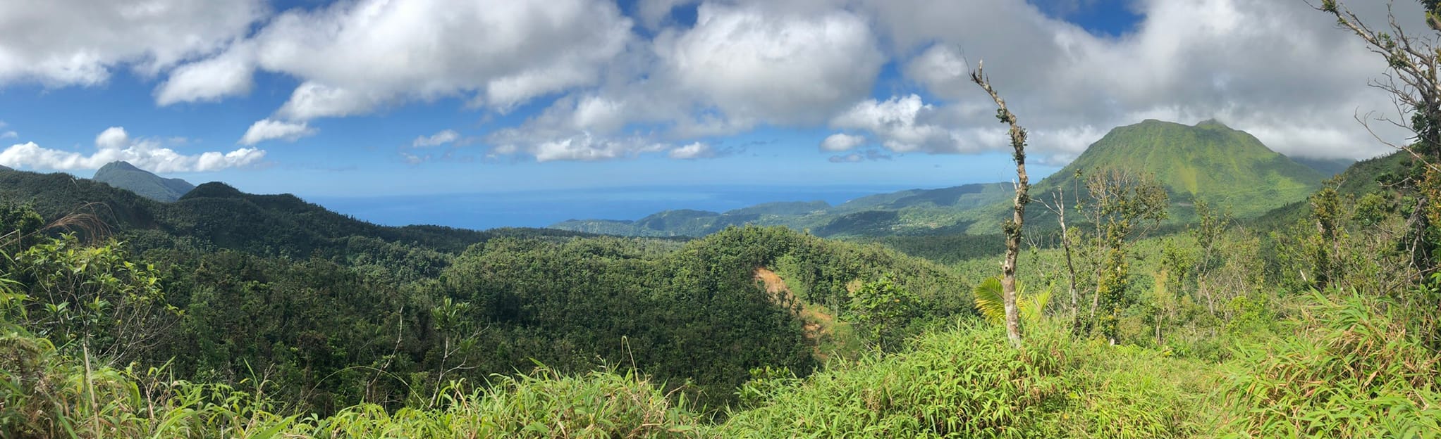 Boiling Lake , Saint Dominica 203 Reviews, Map AllTrails