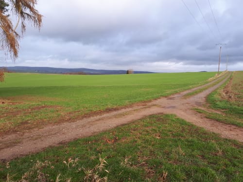 Rund um den Twistesee