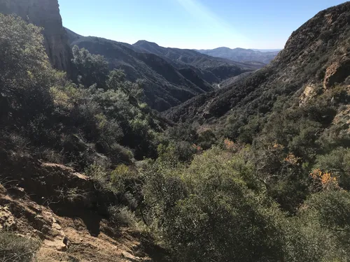 Black Star Canyon Falls Trail, California - 11,580 Reviews, Map