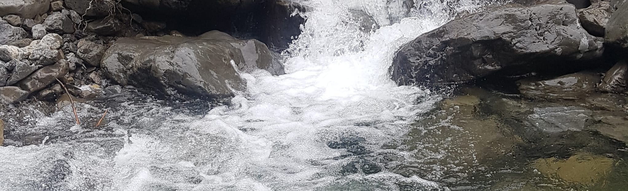 Iron Gates Track 3 Reviews, Map ManawatuWanganui, New Zealand