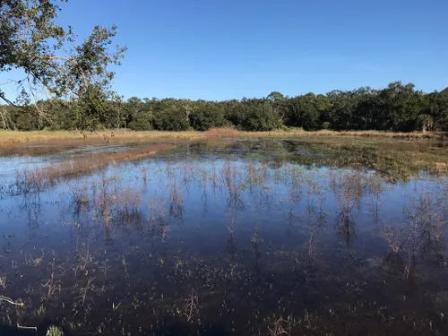 Best Hikes and Trails in Guana Tolomato Matanzas National Estuarine ...