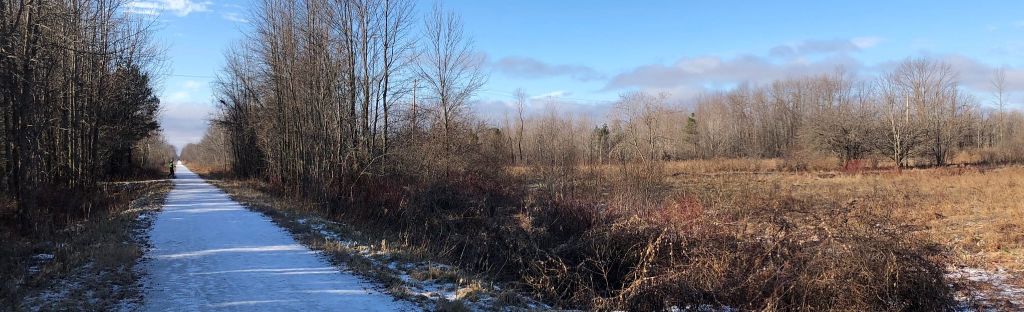 Shanty Bay Loop 26 Reviews, Map Ontario, Canada AllTrails