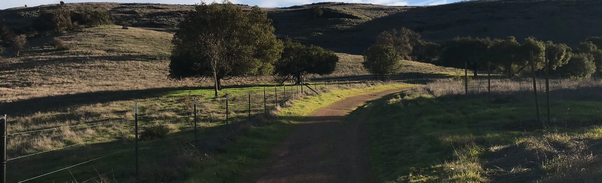 AllTrails | Coyote Peak, Hidden Springs and Ohlone Trail Loop: 524