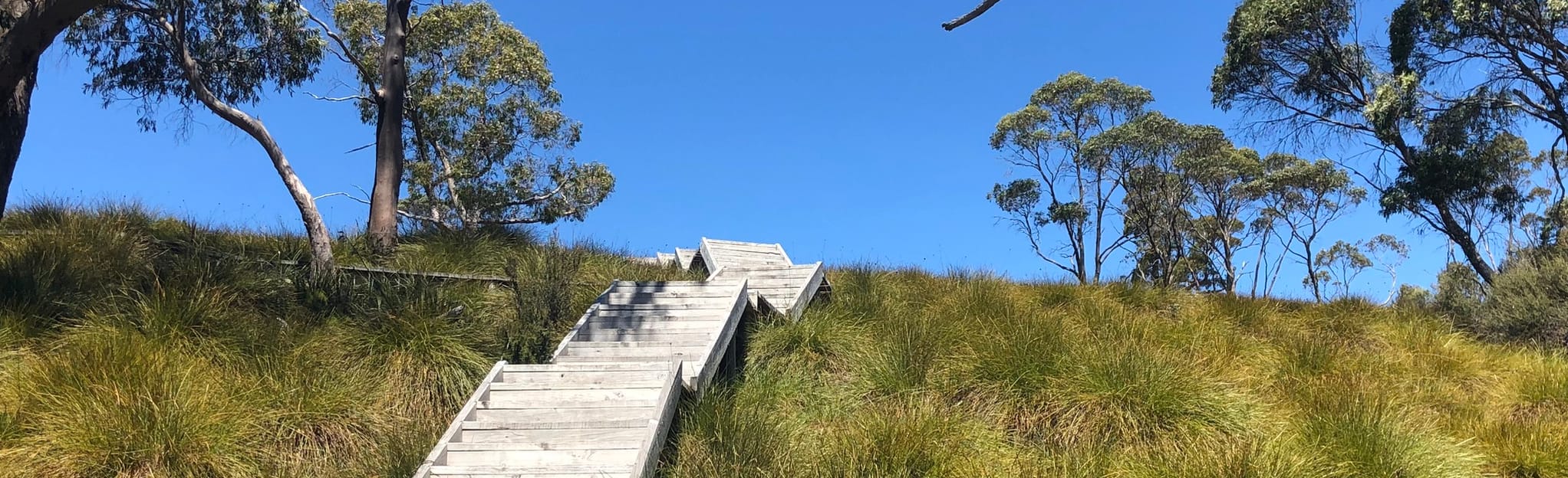 Cradle Valley Boardwalk 147 Reviews, Map Tasmania, Australia AllTrails