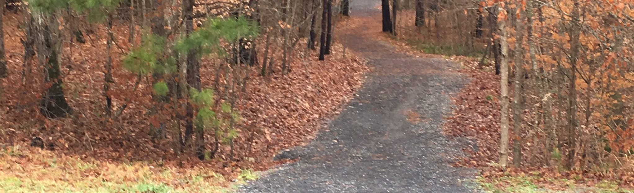 Edwards Park Loop 109 Reviews, Map AllTrails