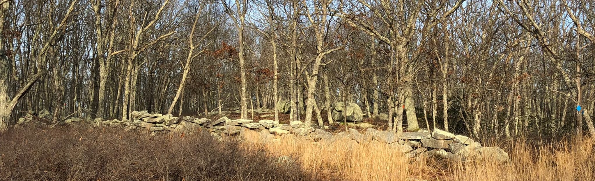 Oswegatchie Hills Nature Preserve Loop From Quarry Dock Road