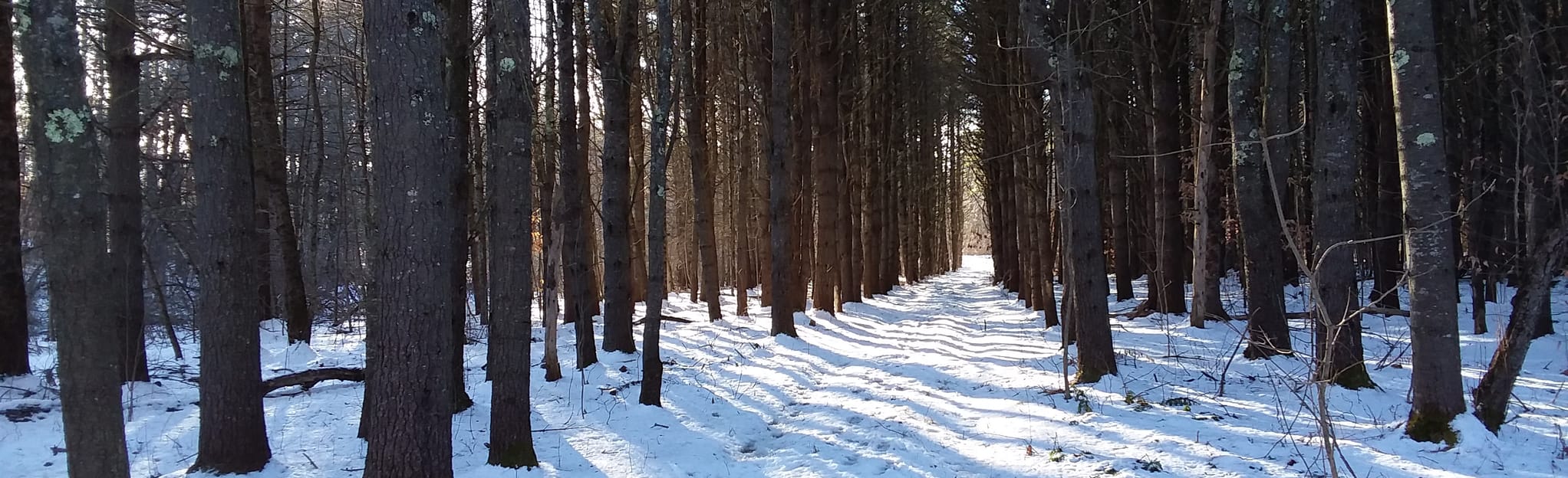 Otter Brook Preserve Trail , Maine 10 Reviews, Map AllTrails