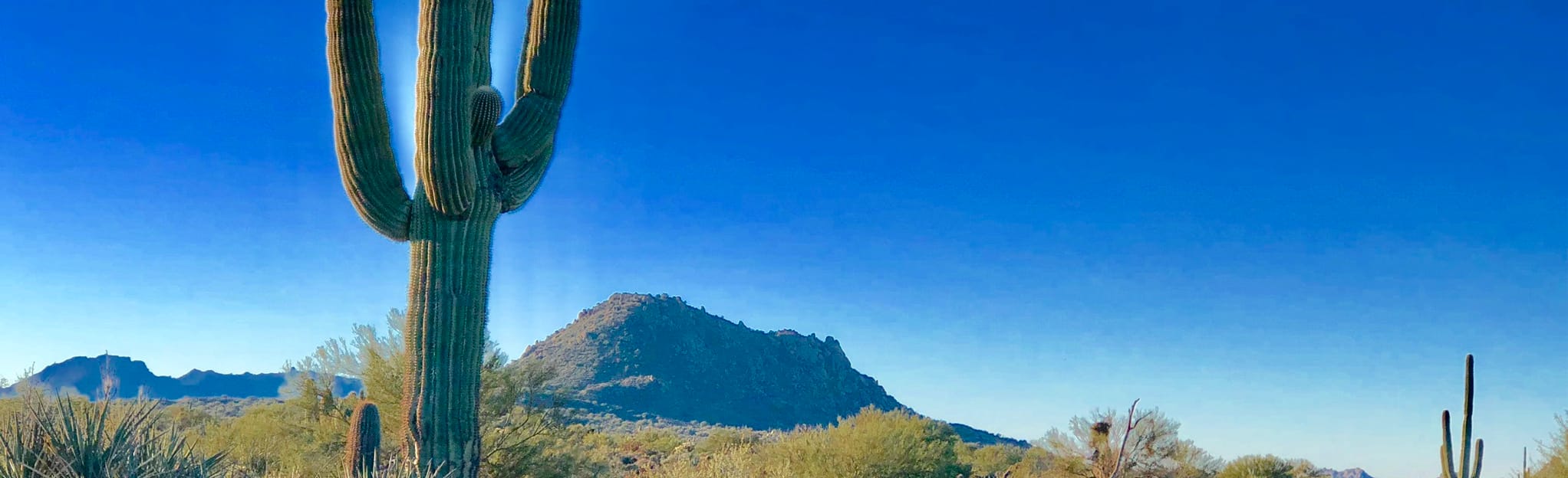 Maricopa Trail Stagecoach Pass Road to E Rio Verde Drive 19 Reviews