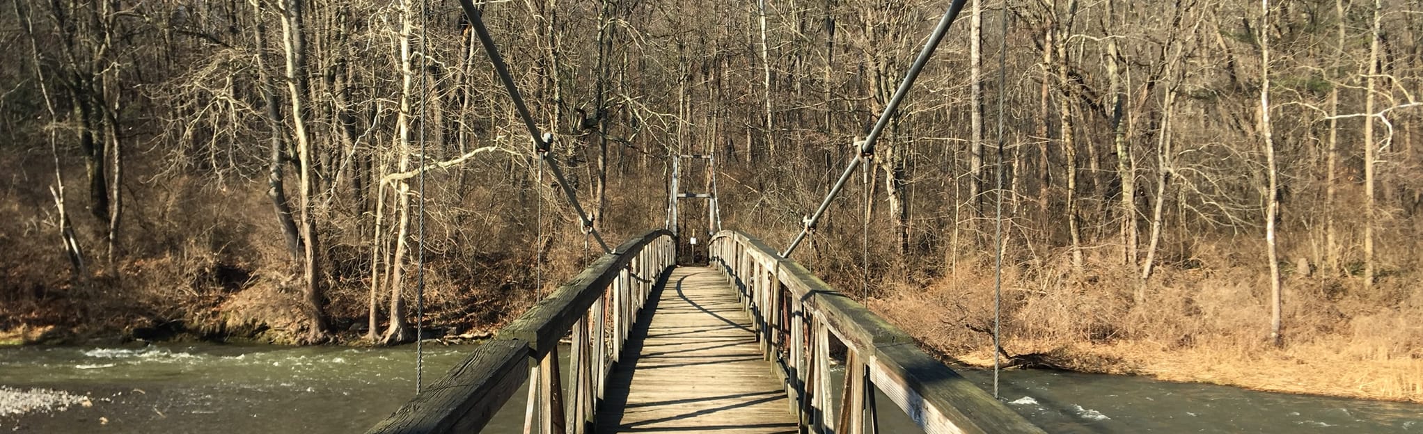 Fall Creek Valley Loop Trail 136 Reviews, Map New York AllTrails