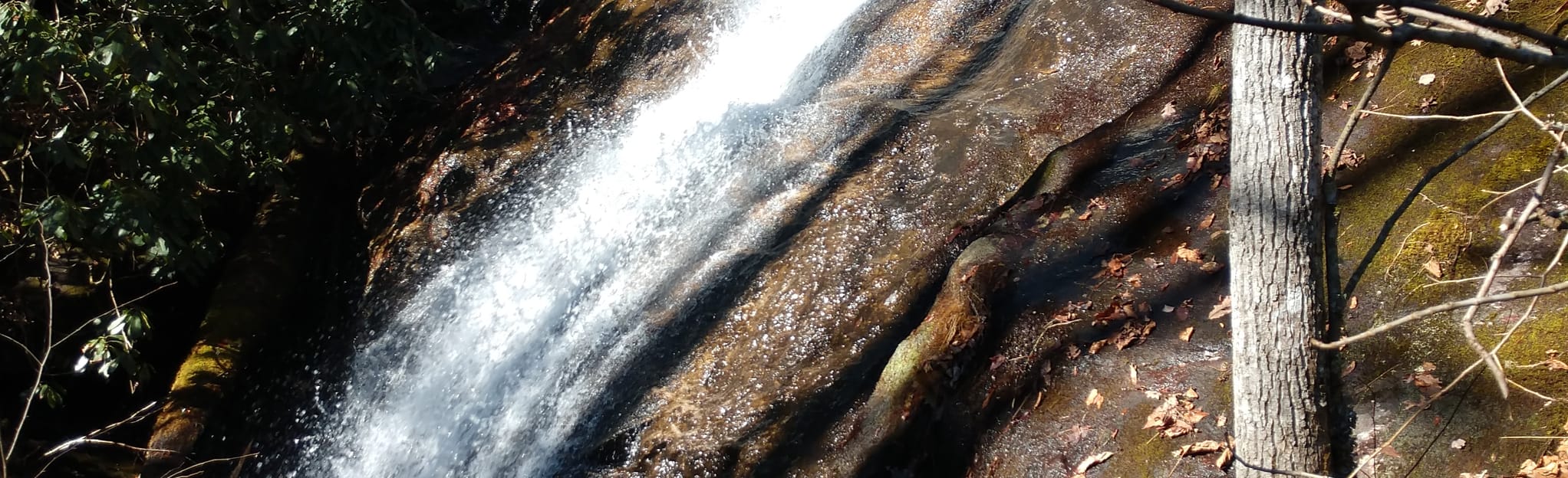 Horseshoe Falls and Cavern Falls Trail, North Carolina 13 Reviews