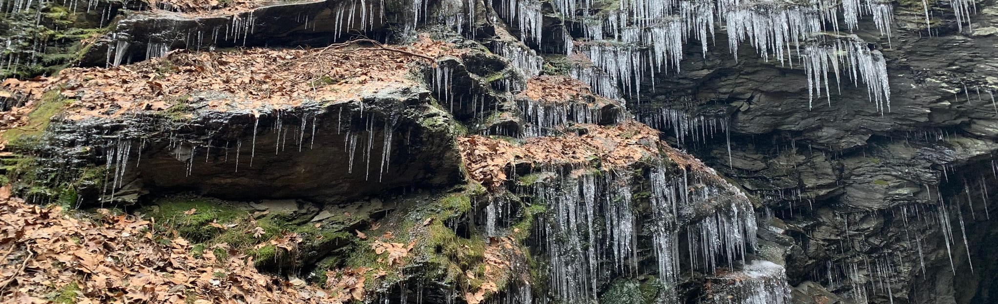 Clamshell Loop 144 Reviews, Map Connecticut AllTrails