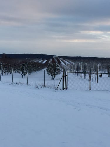 Weltenburger Wanderwege: I - Donauroute
