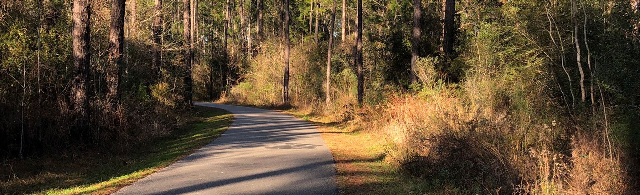 John Slidell Park Trail: 56 Reviews, Map - Louisiana | AllTrails