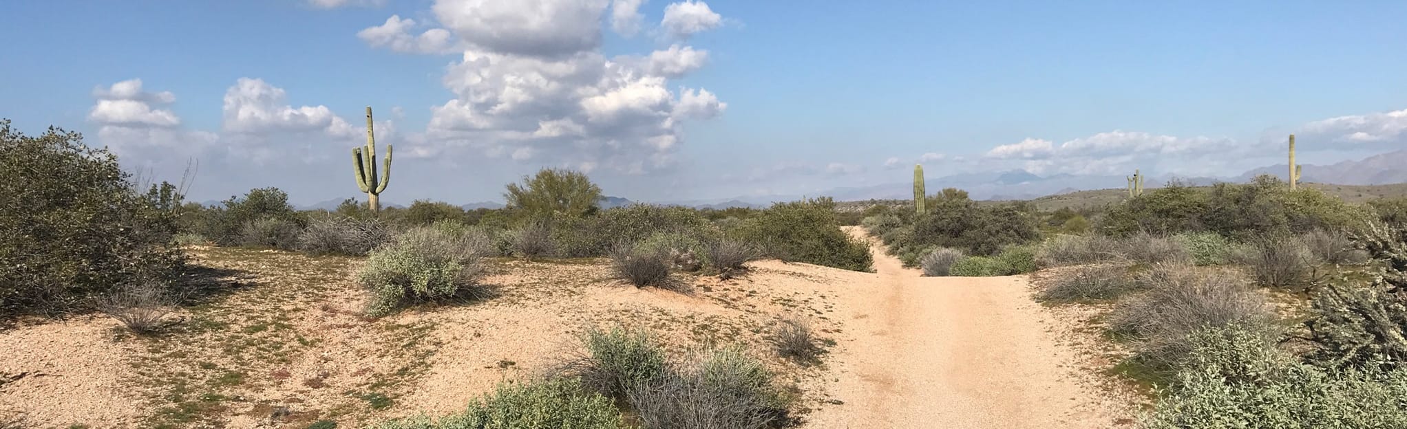 Verde, Pemberton, Lariat, Granite, Pemberton, Verde Trail Loop 329