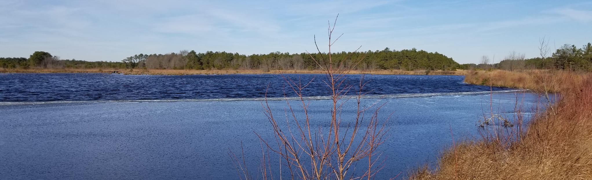 Bald Eagle Reservoir Loop Trail Map, Guide New Jersey AllTrails