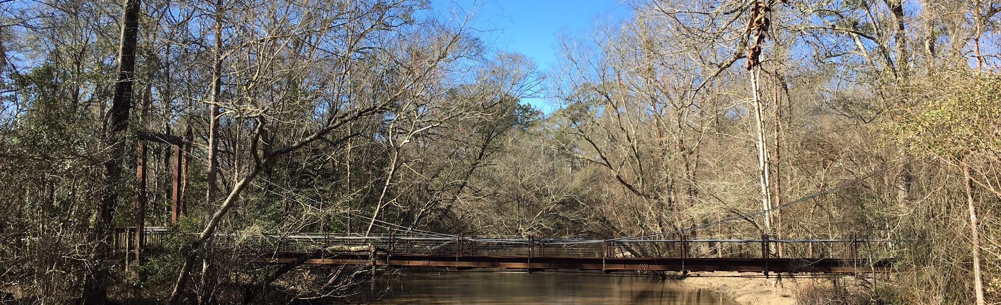 Tickfaw State Park River Loop [CLOSED] | Map, Guide - Louisiana | AllTrails