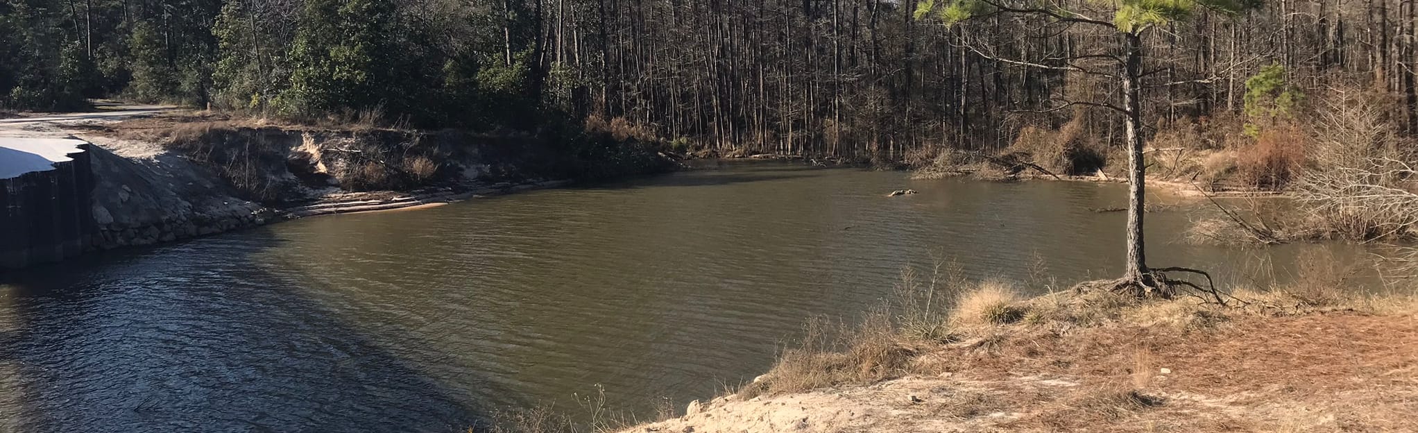 Eastex Frontage Road to Spring Creek Canoe Launch Trail 322 Reviews, Map Texas AllTrails
