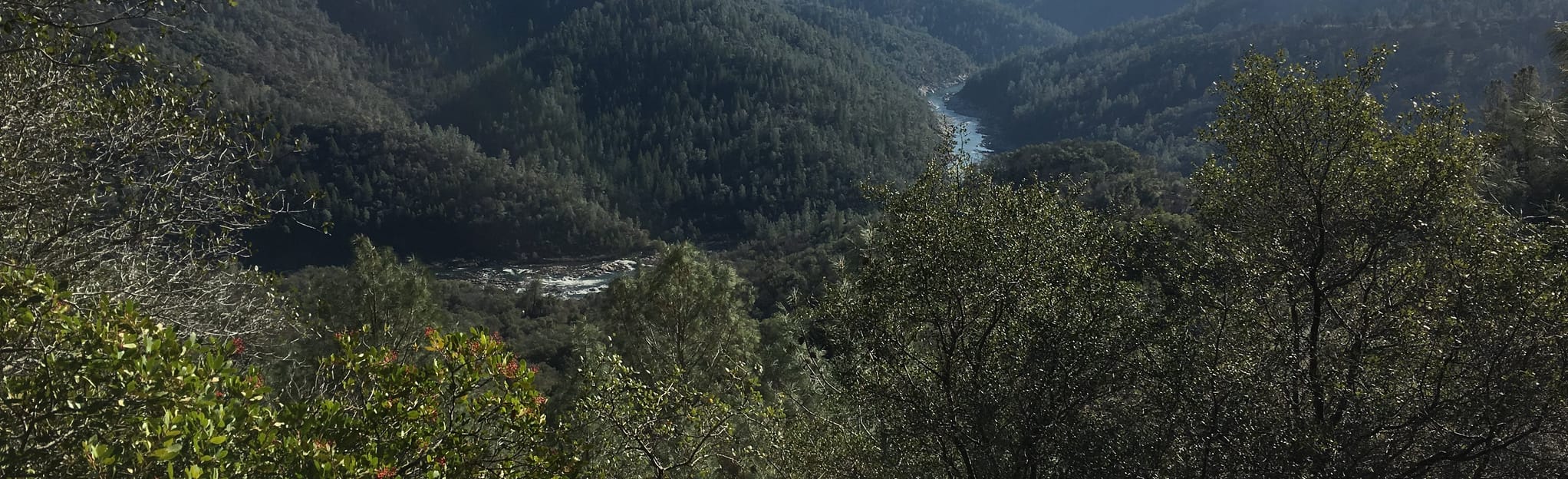 Auburn Dam via Shirland Canal and Cardiac Bypass Trail 96 Reviews, Map