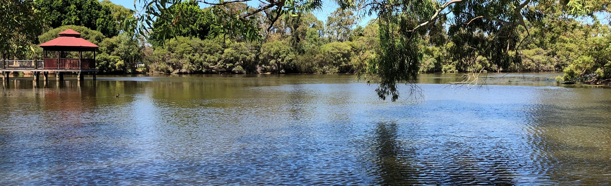 Tomato Lake 26 fotos Austrália Ocidental, Austrália AllTrails