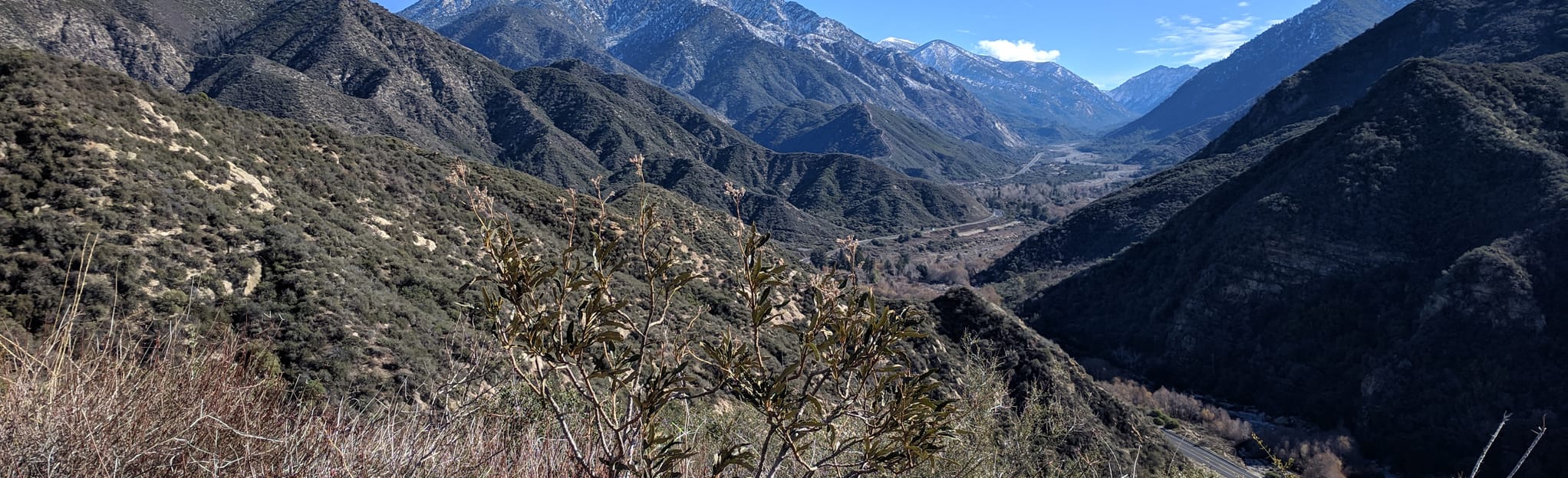 Morton Ridge Trail: 467 Reviews, Map - California | AllTrails