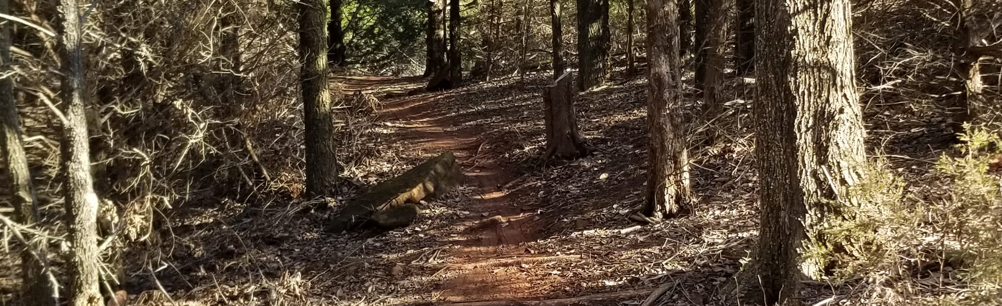 Arcadia Lake East Loop, Oklahoma 300 Reviews, Map AllTrails