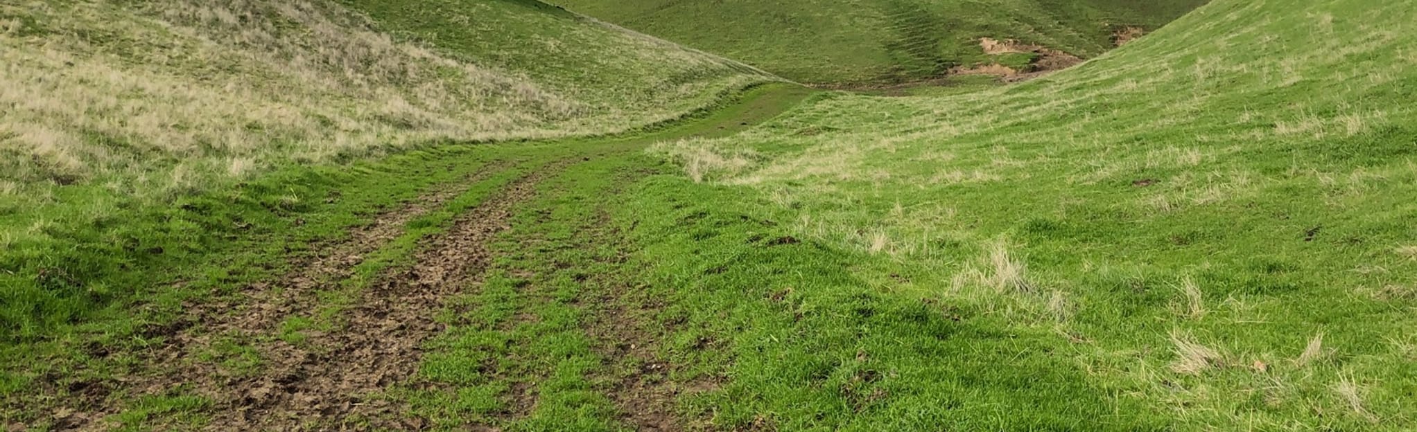 Kit Fox Trail 45 Reviews, Map California AllTrails