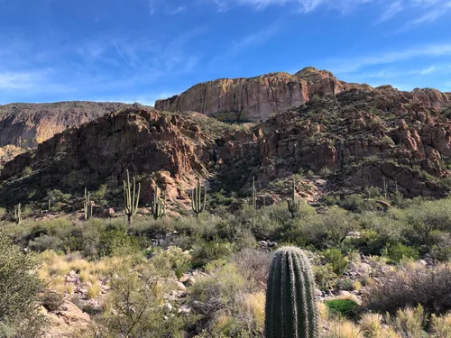 Camping near superstition mountains best sale