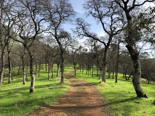 Best Hikes and Trails in Hidden - EyJidWNrZXQiOiJhc3NldHMuYWxsdHJhaWxzLmNvbSIsImtleSI6InVwbG9hZHMvcGhvdG8vaW1hZ2UvMjE5Nzg0MjcvMzdjZDIzNzYyNjY1MmNiOGVhYjdlZjdiYTMzNzEyNDguanBnIiwiZWRpdHMiOnsidG9Gb3JtYXQiOiJ3ZWJwIiwicmVzaXplIjp7IndpZHRoIjo1MDAsImhlaWdodCI6NTAwLCJmaXQiOiJpbnNpZGUifSwicm90YXRlIjpudWxsLCJqcGVnIjp7InRyZWxsaXNRdWFudGlzYXRpb24iOnRydWUsIm92ZXJzaG9vdERlcmluZ2luZyI6dHJ1ZSwib3B0aW1pc2VTY2FucyI6dHJ1ZSwicXVhbnRpc2F0aW9uVGFibGUiOjN9fX0=