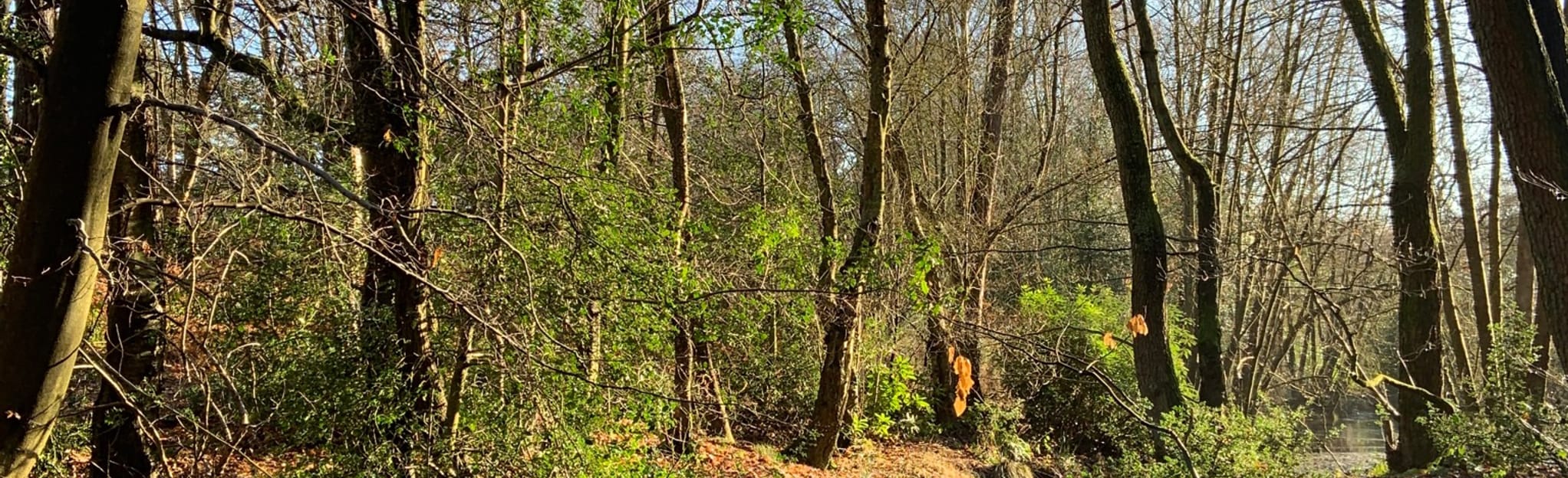 Chelwood Vachery Circular 88 Reviews, Map East Sussex, England