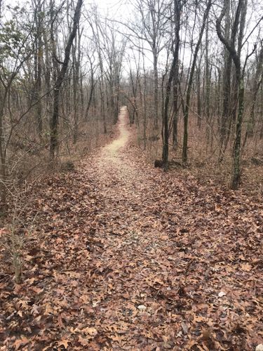 Best Hikes and Trails in Holly Ridge Conservation Area | AllTrails