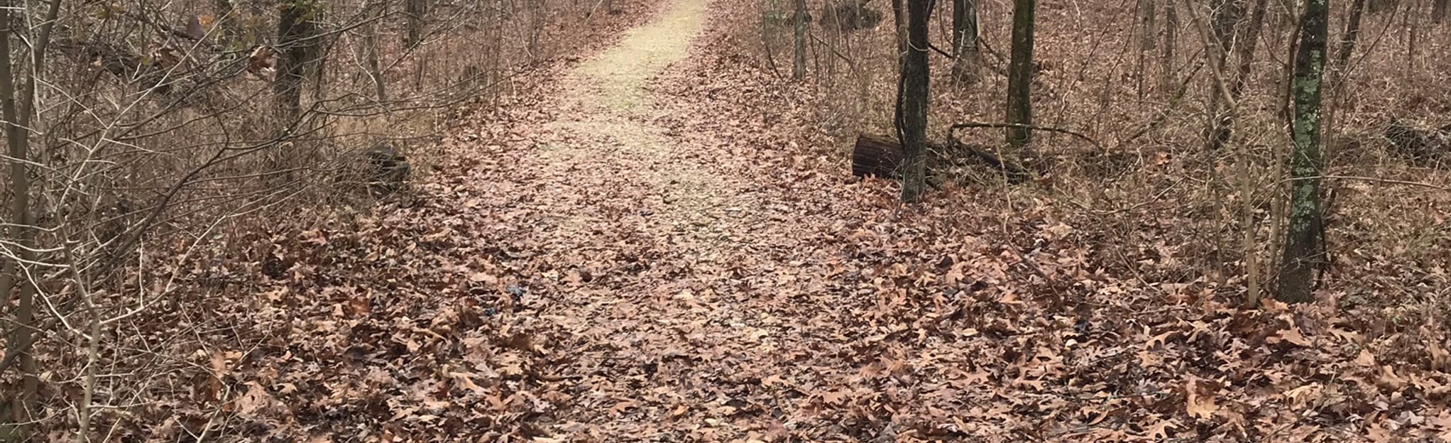 Holly Ridge Conservation Area Loop 51 Reviews, Map Missouri AllTrails