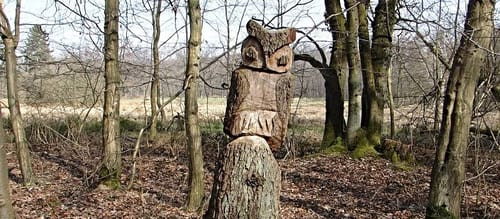 Beckmann-Rundwanderweg