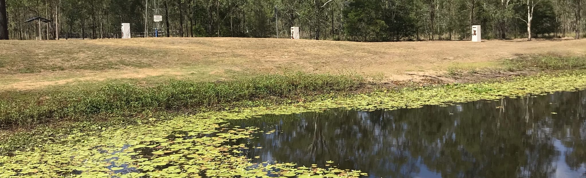 Hardings Paddock via Ipswich Boonah Trail 243 fotos Queensland