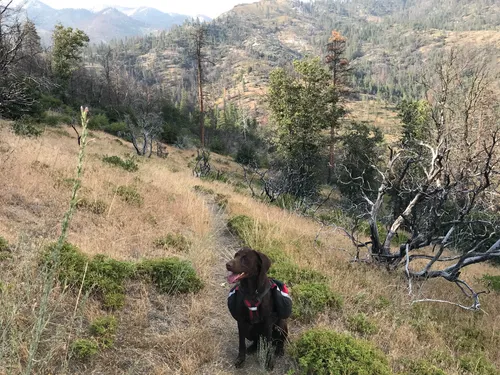 Best Hikes and Trails in Monarch Wilderness AllTrails