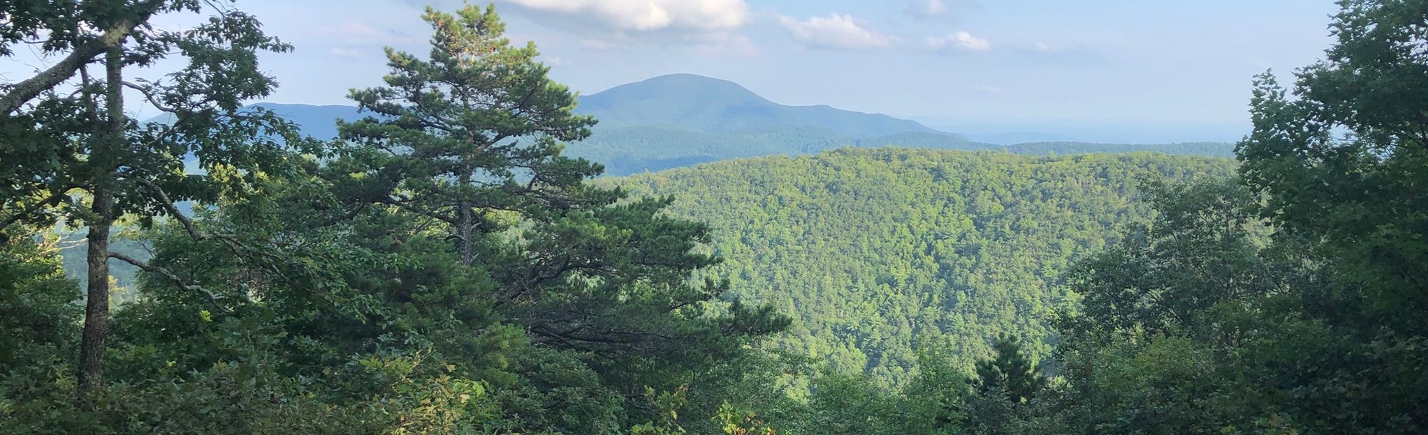 Saint Mary's Wilderness Loop Trail | Mapa, Roteiro - Virginia | AllTrails