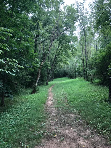 10 Best Trails and Hikes in Lexington | AllTrails