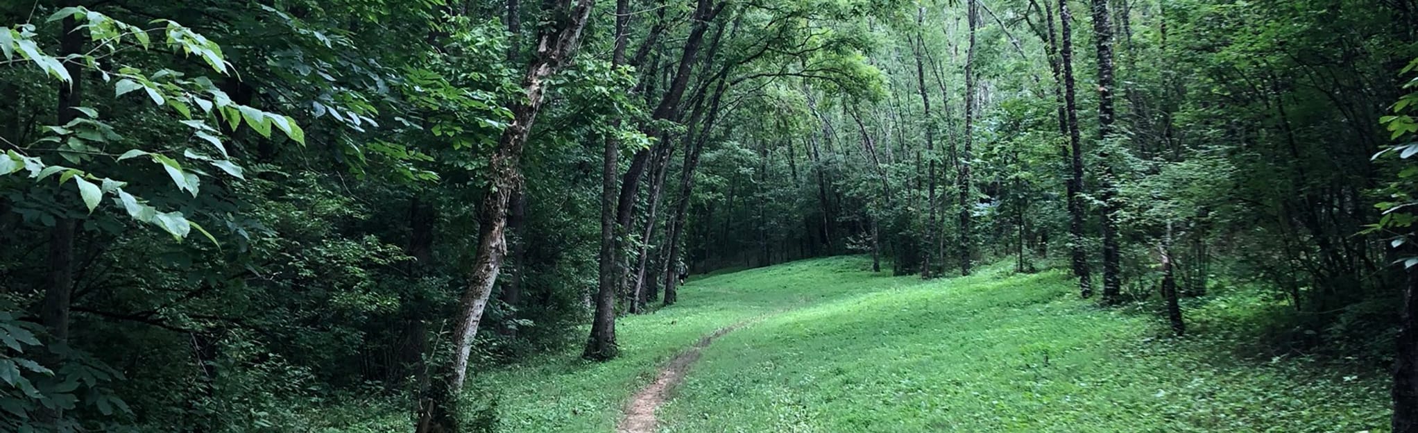 Veterans Park Trail 826 Reviews, Map Kentucky AllTrails