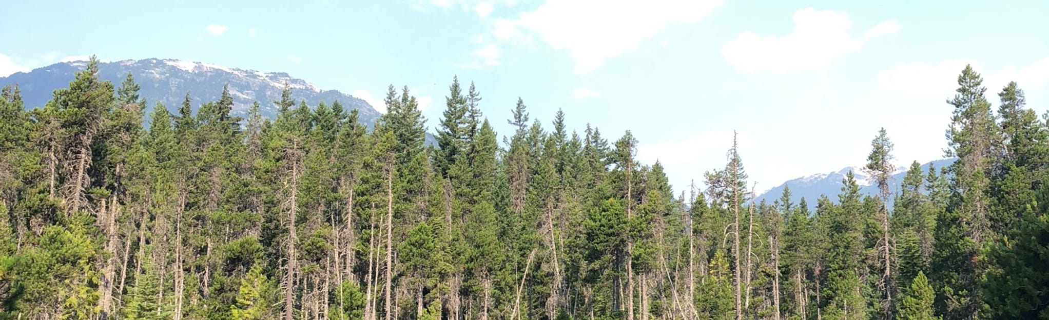 Brandywine Falls Loop via Suspension Bridge, British Columbia, Canada